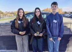 Uczniowie szkoły kwestowali na cmentarzu w Mogielnicy na rzecz Rzeszowskiego Towarzystwa Pomocy im. św. Brata Alberta